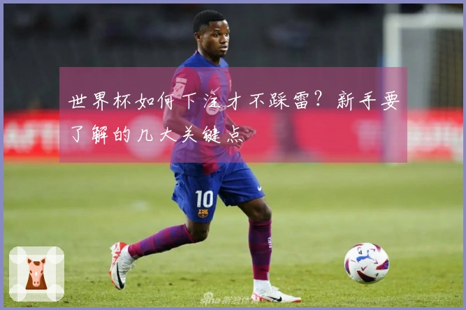 世界杯如何下注才不踩雷？新手要了解的几大关键点